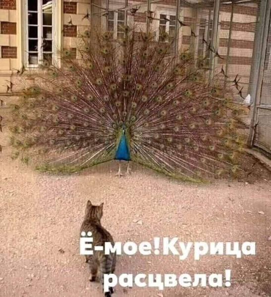 Мем, Леонид Хлыновский