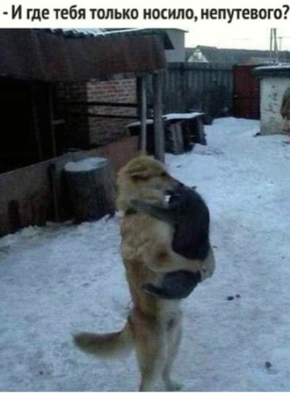Мем, Смехалка