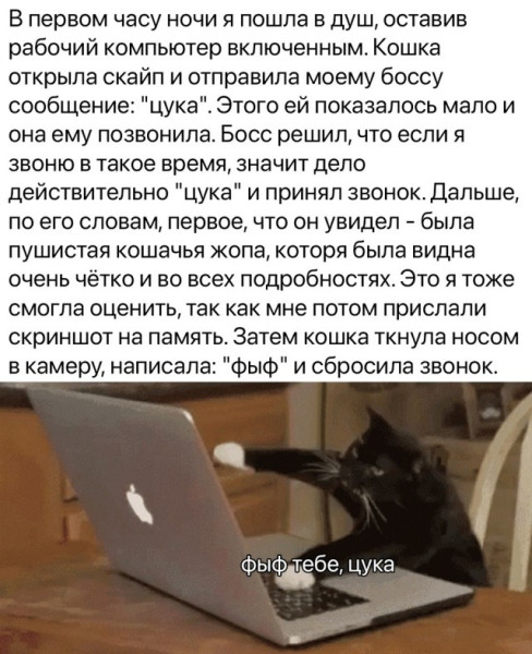 Мем, Смехалка