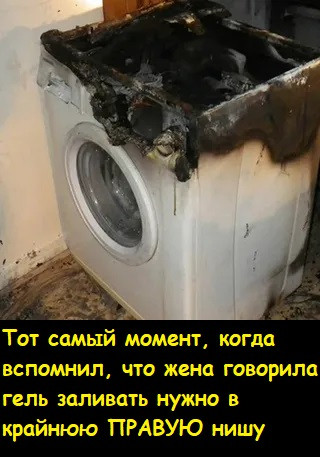 Мем, Лис Интересный