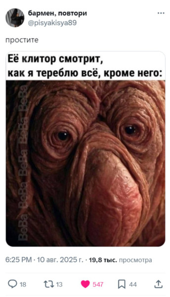 Мем, Максим Камерер