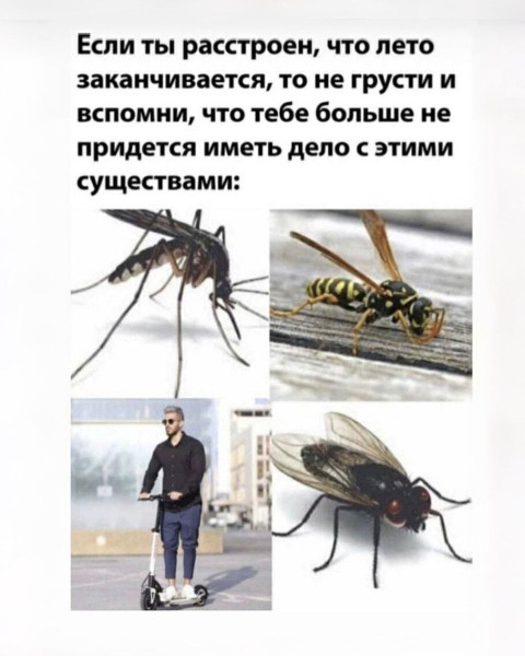 Мем, Mghost
