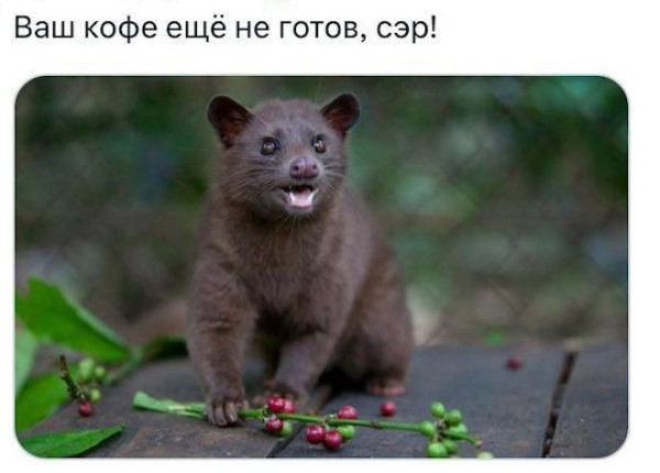 Мем, Treloni_Esq