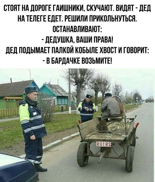 Мем, комментатор