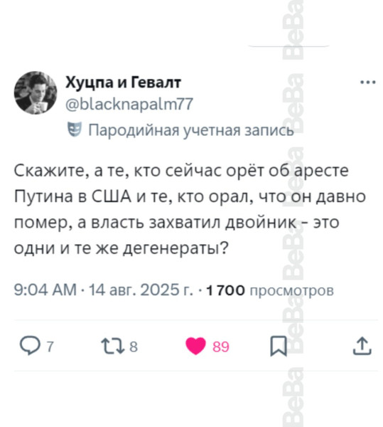 Мем, Максим Камерер