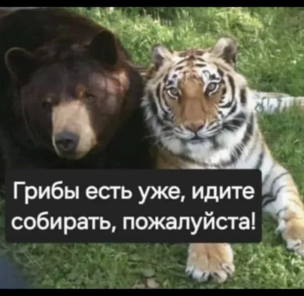 Мем, Смехалка