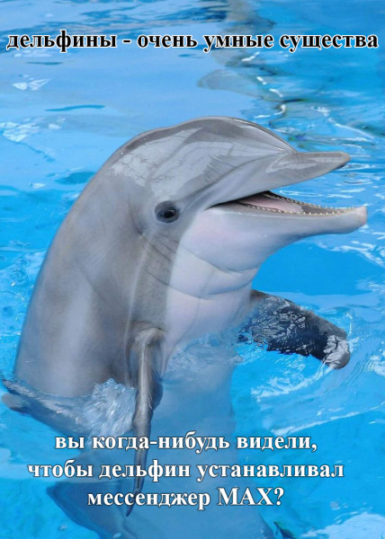 Мем, Mghost