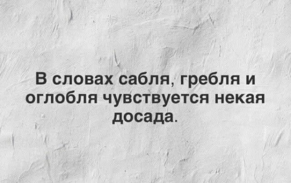 Мем, Максим Камерер