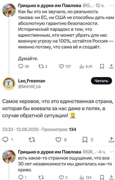 Мем: Держать строй!, Максим Камерер