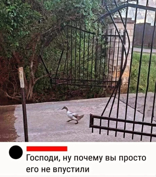 Мем: Гость, Серега с побережья