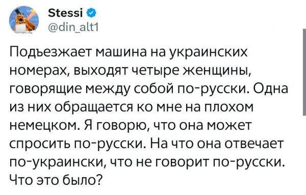 Мем, Максим Камерер