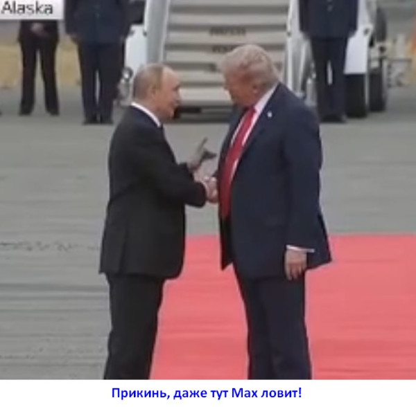 Мем: даже тут, floki