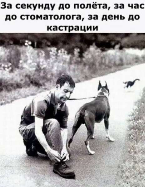 Мем, Оби Ван Киноби