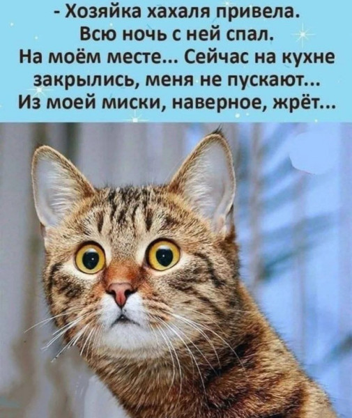 Мем, Смехалка