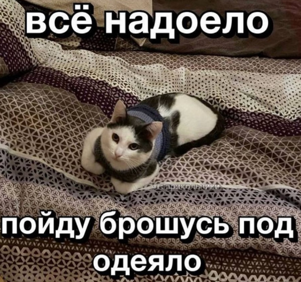 Мем, Mghost