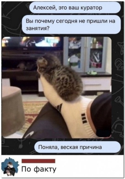 Мем: Смешные комментарии, iteam