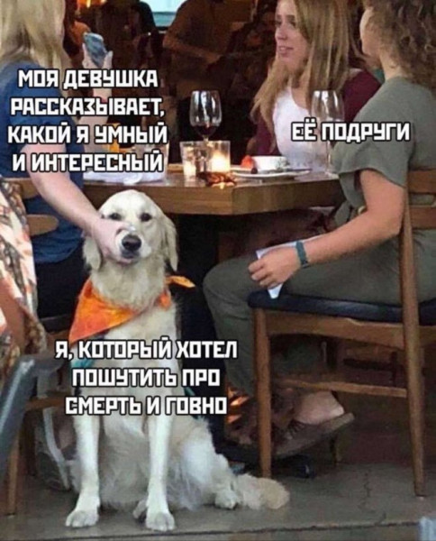 Мем: Юмор дня, iteam
