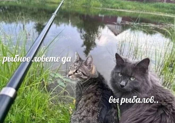 Мем: Юмор дня, iteam