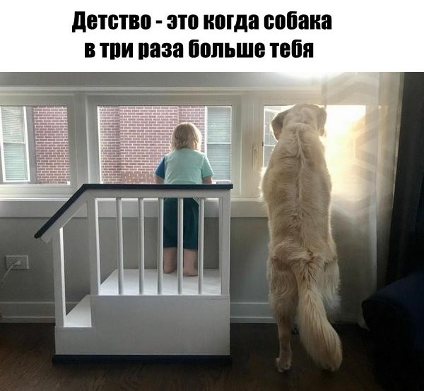 Мем, memw