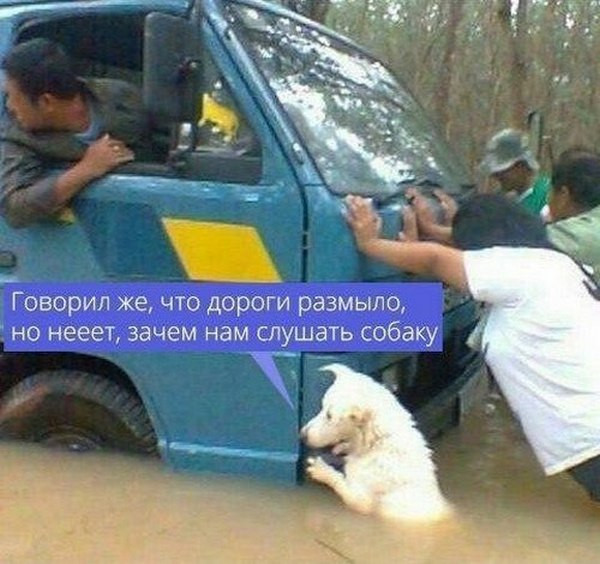Мем, memw
