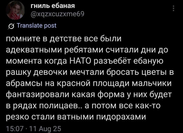 Мем, Максим Камерер