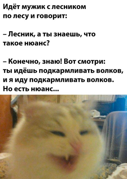 Мем, Mghost