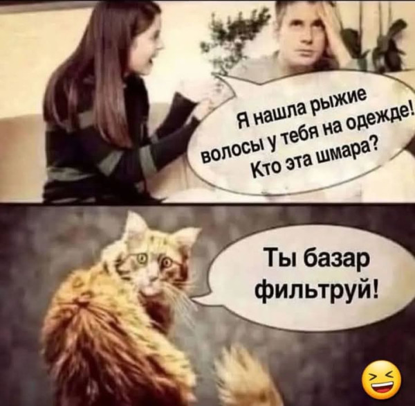 Мем, Анекдотчик