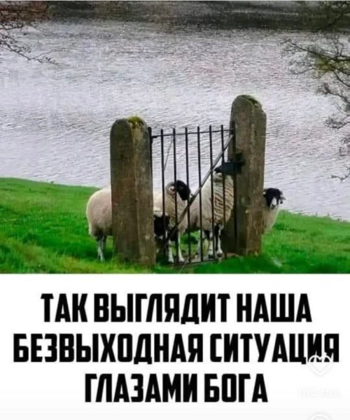 Мем, Анекдотчик