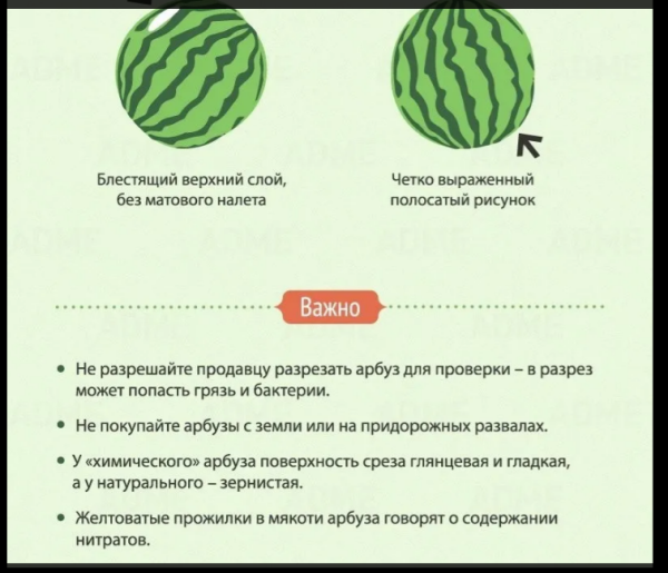 Мем, михельсон