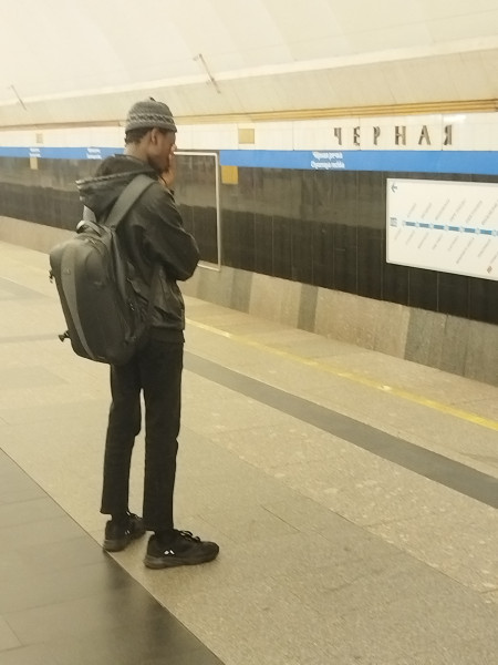 Мем, bart
