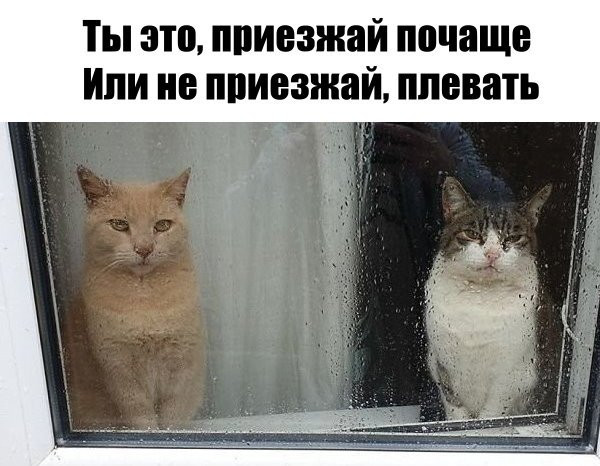 Мем, memw