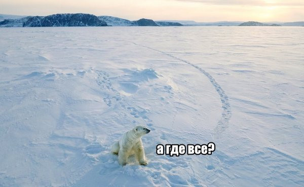 Мем, memw