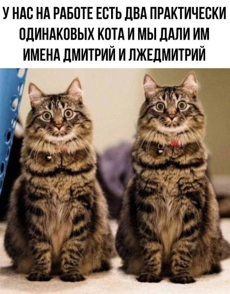 Мем, Смехалка