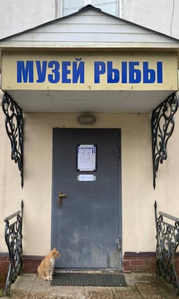 Мем, Анекдотчик