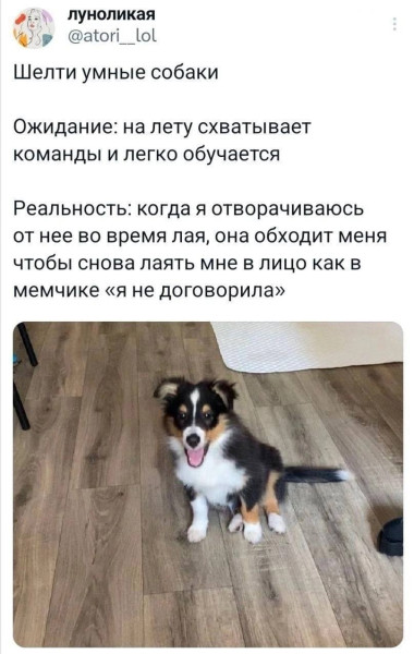 Мем, Смехалка