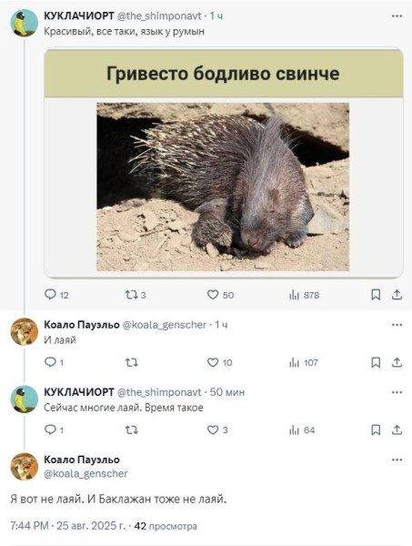 Мем: Занимательной лингвистики вам на день., Юрий Небольсин