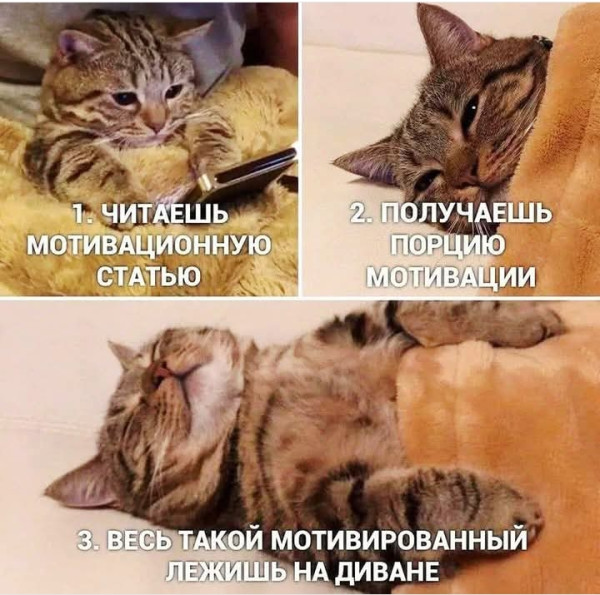 Мем, Анекдотчик