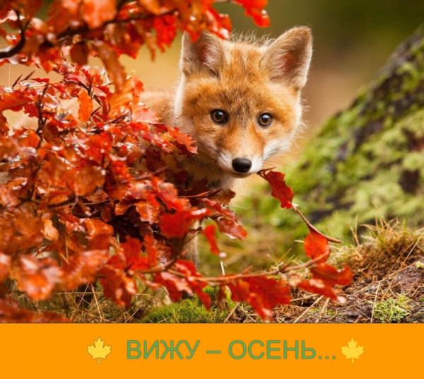Мем Мем