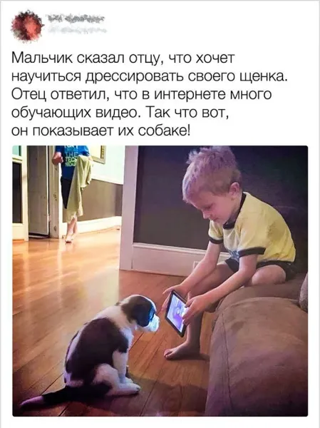 Мем, Смехалка