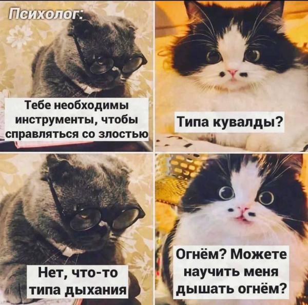 Мем, Femf