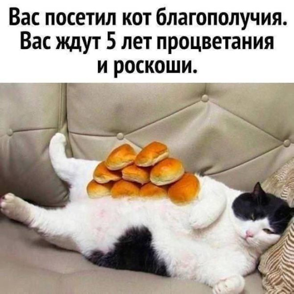 Мем: Юмор на день, iteam
