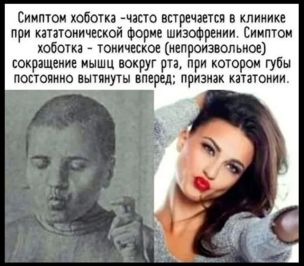Мем, михельсон