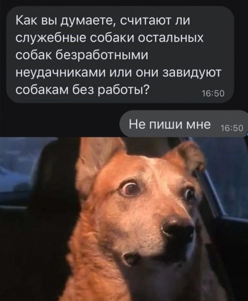 Мем: Прикол, iteam