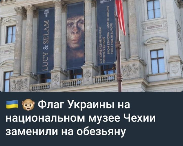 Мем Мем