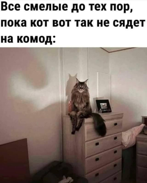 Мем, Анекдотчик
