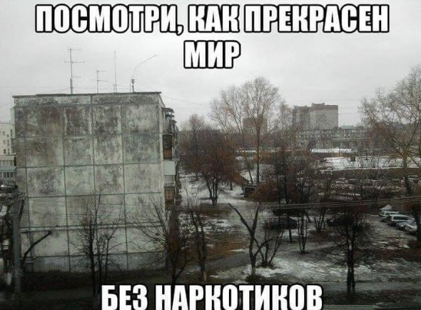 Мем, Максим Камерер