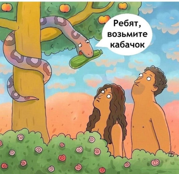 Мем, anberg