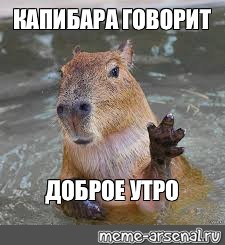 Мем, Микки Маус Мем, Микки Маус