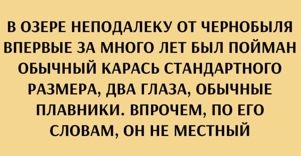 Мем, Mghost