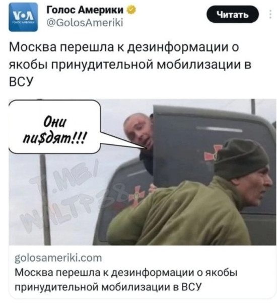 Мем, Максим Камерер